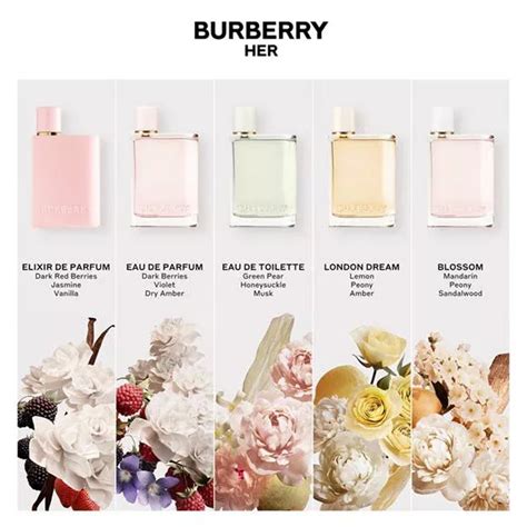 burberry her perfume long lasting|Burberry best perfume for her.